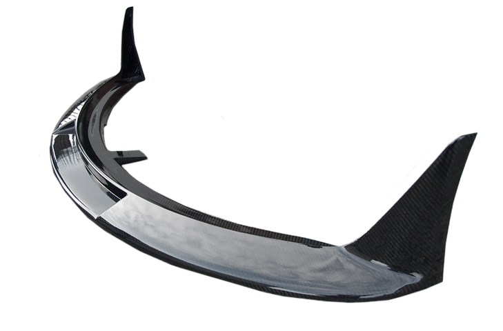 Lotus Exige S2 (04 - 10) Carbon Fibre Front Race Spoiler - R01SB0315