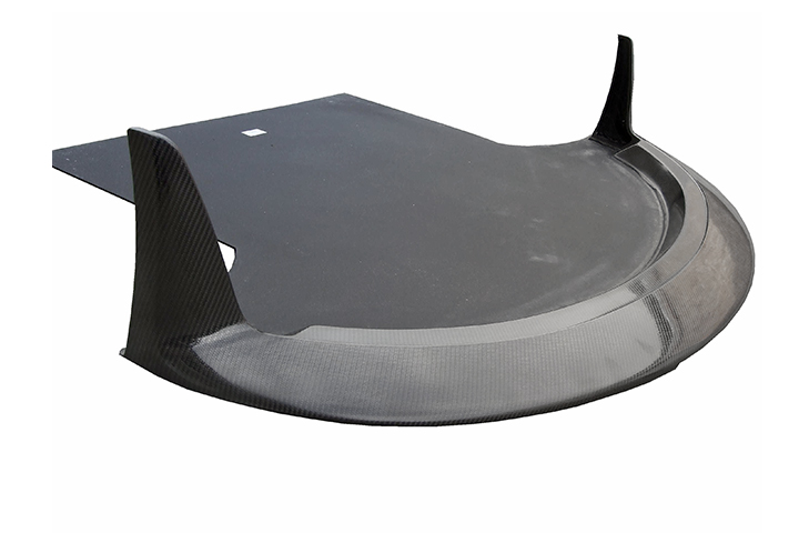 Lotus Exige S2 (10 - 11) Carbon Fibre Front Race Spoiler - R01SB0374