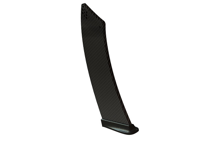 Bentley Continental GT (03 - 11) Rear Wing Mounts Carbon