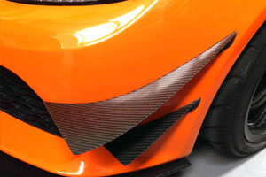 Bumper Canards