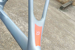 Giant TCR repaired and locally paint matched