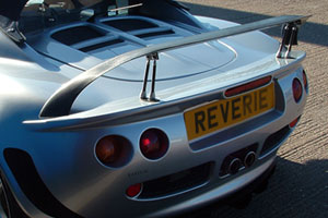 Rear Wings